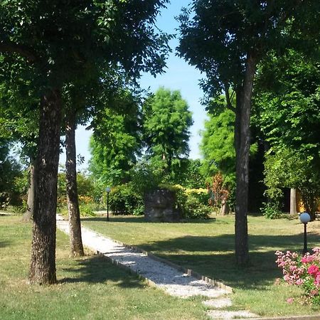 B&B La Vigna Di Federico Rubano Exteriér fotografie