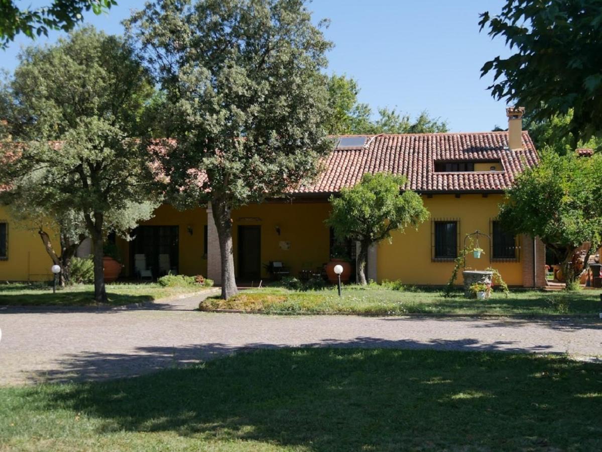 B&B La Vigna Di Federico Rubano Pokoj fotografie